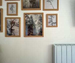 Cosy Central Flat with Parking