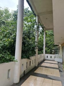 El Jardin de los Anturios