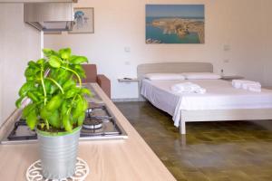 Casa Vacanze Vento del Sud