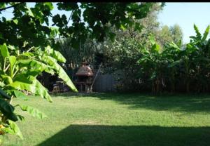 Casa Vacanze il Giardino img6