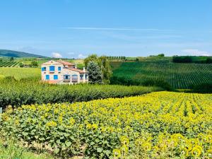 Stone villa in Fruška gora