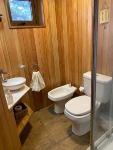 Patagonia 7 lagos aparts