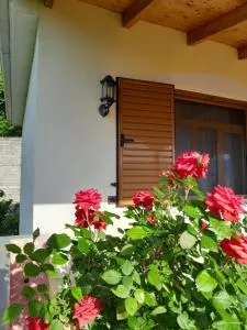 Mateo & Sara Guesthouse. - Peshkëpia e Poshtme