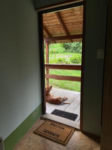 Agroturystyka Nad Stawem