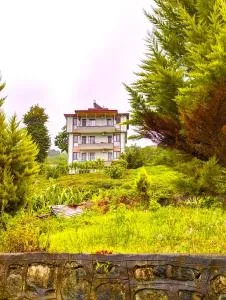 Noğa Suit Apart - Cayeli