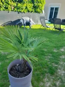 Family House - Bailleul-sur-Thérain