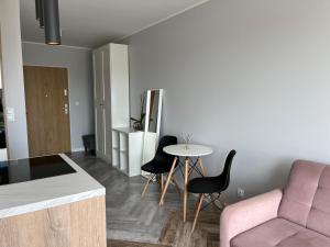 HIGH STANDARD APARTMENT GDYNIA