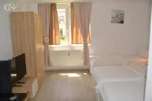 Saarbrücken City Apartments - 萨尔格米纳