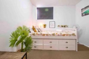 North Burleigh Miami Ocean Escape
