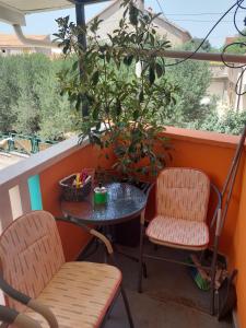 Mexicana Apartment Pink