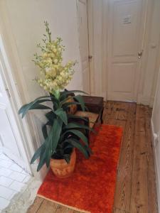 D&N Hospedagem Lisboa