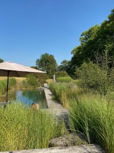 Maisons de vacances Le gite des grands arbres : photos des chambres