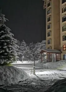 Nevados Chillan - Huinganco