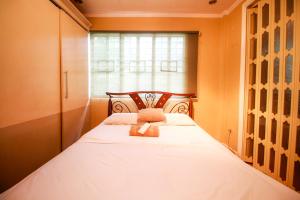 Amor Building - Urdaneta City