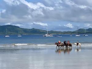 Matapalo 102-Luxury 2 Br Poolside Condo At Tamarindo