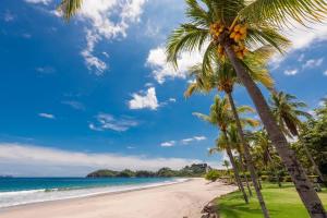 Palms 20 Luxury Oceanfront Villa