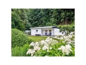 Naturgeist Comfortable holiday residence - Benzingerode