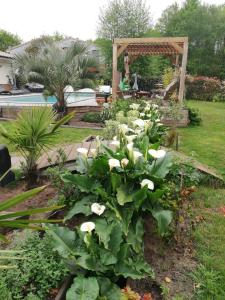 Villas Villa piscine chauffee,5ch ,climatisation, bar exterieur : photos des chambres