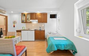 Amazing Apartment In Lozovac With Wifi