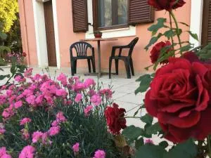 Ησυχία - Φύση - Virós