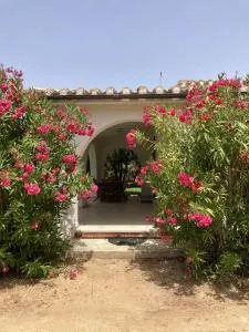 Villetta indipendente Simius - Simius