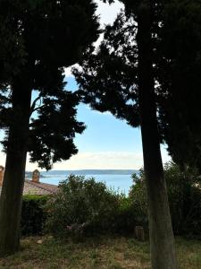 Marinaio 