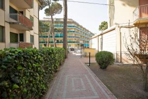 Appartamento con 1 Camera da Letto