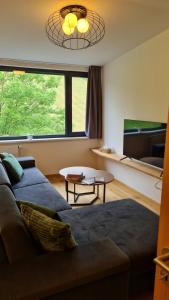 Krásný apartmán u sjezdovky v Janských Lázních