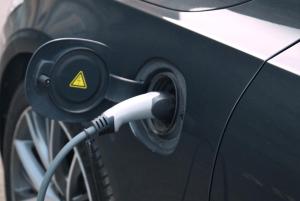 HOTEL DIANA apartments