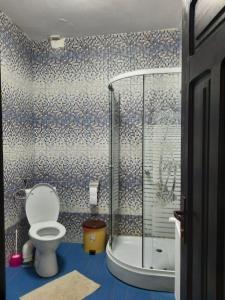 Pensiunea Valea Pintei