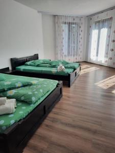 Pensiunea Valea Pintei