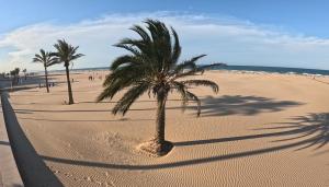 Apartamento PlayGandi