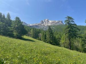 Appartements Studio le Sauze : photos des chambres