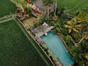 Padi Bali Retreat