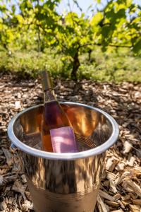 Holmegaard vin og glamping