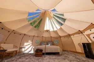 Holmegaard vin og glamping - Magletving