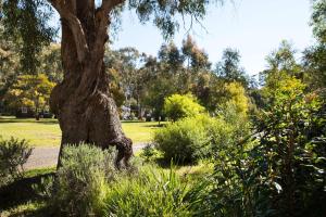 Bodhi Daylesford - family friendly group accommodation with pool