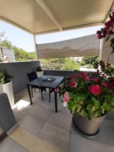 Apartman Jadranka