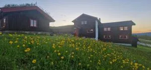 Skotten Seter - Bed & Husky - 科威费耶尔