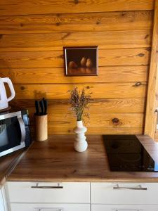 Blisko Natury - domki w Sztutowie