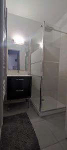 Appartements Appartement 2 pieces de plein pied au coeur du village a deux pas de la plage avec exterieur et parking prive : photos des chambres