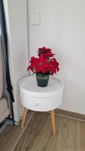 Sejours chez l'habitant Chambre avec sa salle de de bain privative : photos des chambres