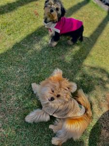 Suítes Paz na Montanha - Tesouro Escondido