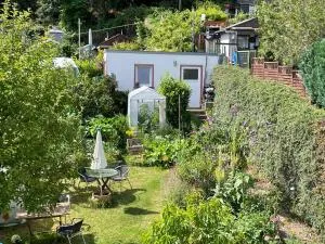 Blick ins Grüne, nah am Zentrum - Aach