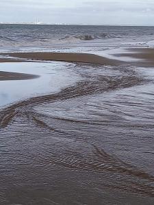 Appartements Le colibri : photos des chambres