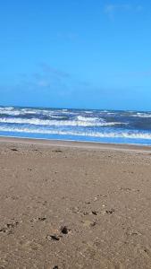 Appartements Le colibri : photos des chambres