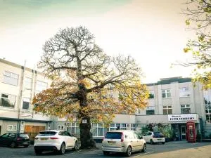 Hotel Celebrity Bournemouth East Cliff by Villare hotels - 芬当