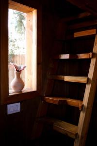 Calida Mini Casa