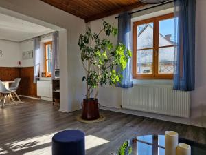 Ferienhaus Hefentrager Nähe Schilcherweinstraße