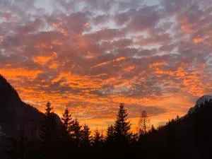 Casa Bambi - 博维茨